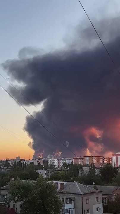 Олег Царёв: ВС РФ ночью нанесли удары по военным объектам в шести областях Украины