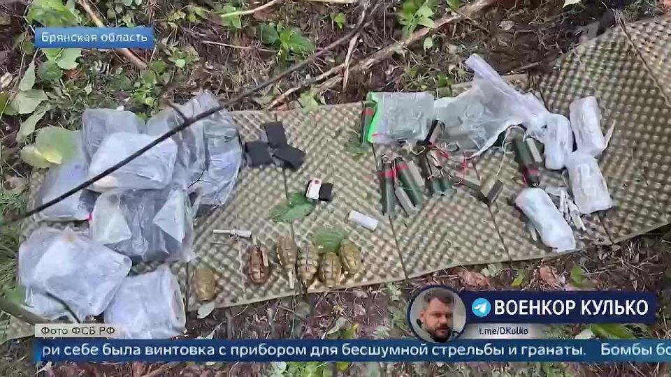 Дмитрий Кулько: В нашем репортаже детали задержания украинской ДРГ «Бобры» в Брянском области, которая пыталась совершить диверсии на объектах транспортной инфраструктуры