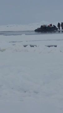 � ������� �������� ������������ � ������������ ������ 43 �������