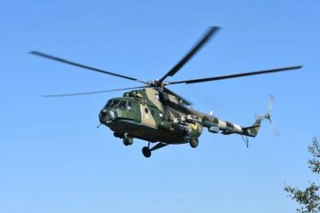 31 ���� � �������������� ������� ��� ���������� "�������� �� ��������������� �������" �������� �������� ������� ��-8/��-24 ����